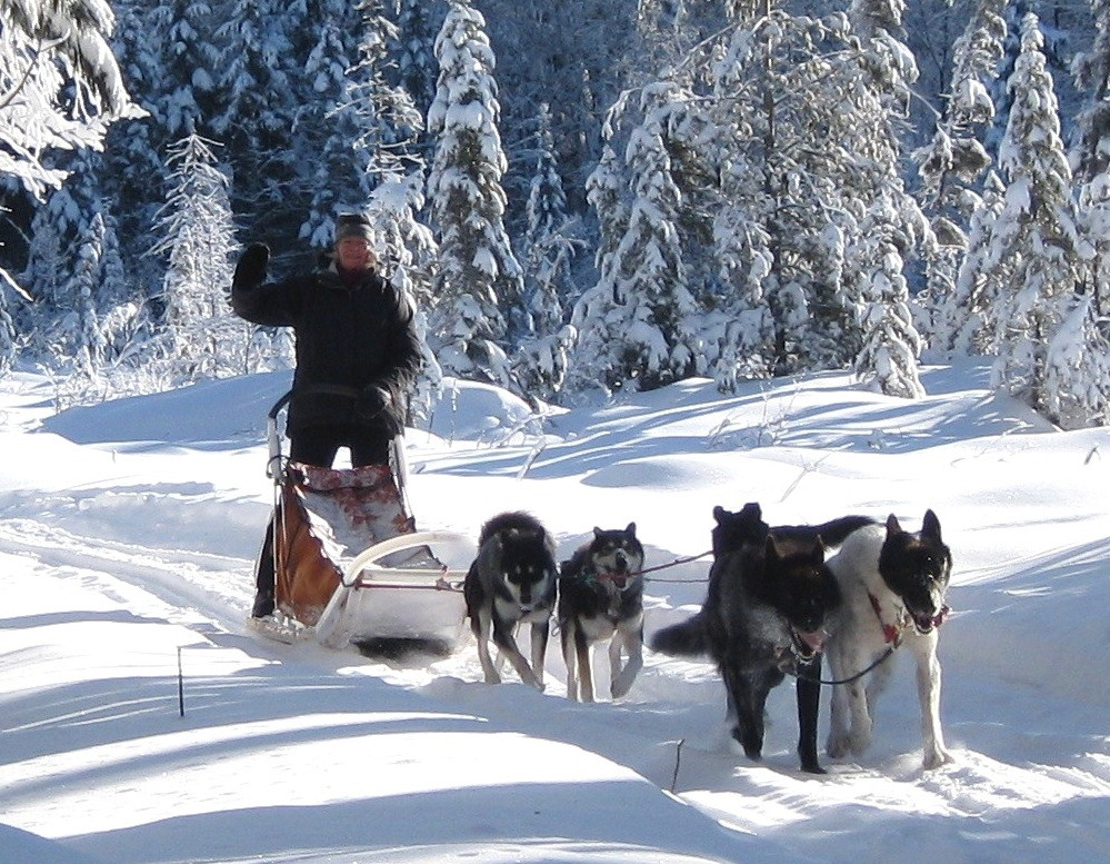White Wilderness Sled Dog Adventures-伊利必去景点