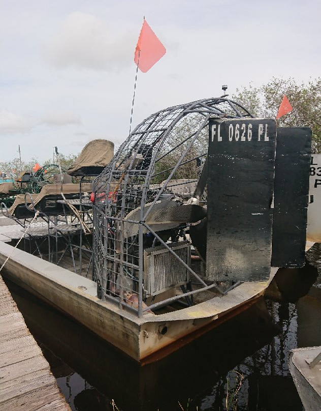 Alligator Tours-哈伦代尔海滩必去景点