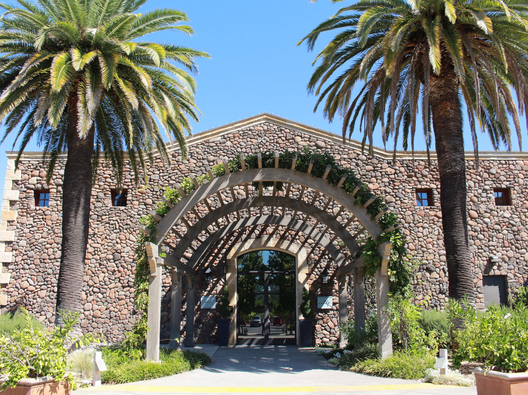 Black Stallion Winery