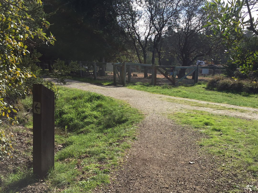 Sea Ranch Dog Park景点图片