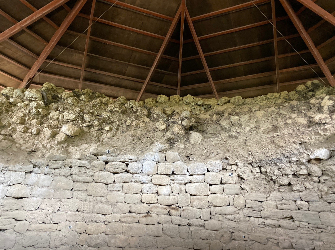 Mycenaean Tholos Tomb景点图片