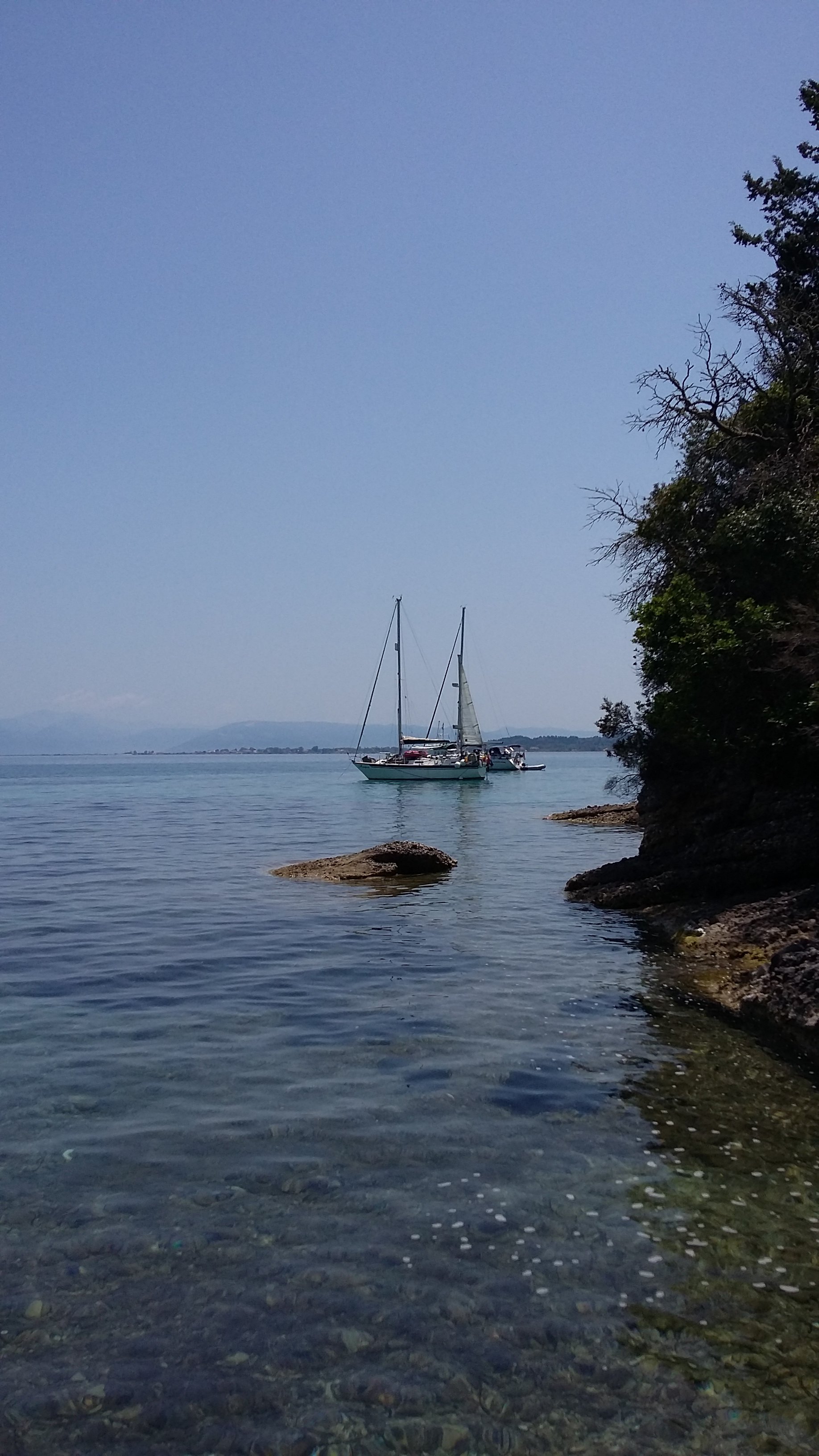Pension Elena-泳池