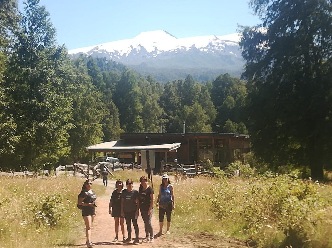 Tours Lican Lafken-Lican Ray必去景点