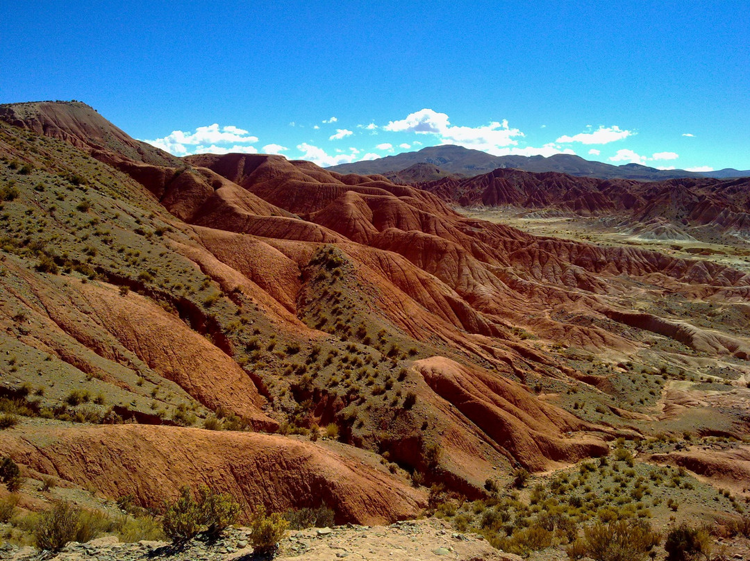 Valle de la Luna景点图片