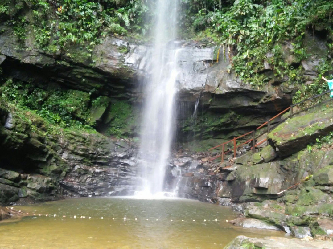 Las Cataratas de Ahuashiyacu景点图片