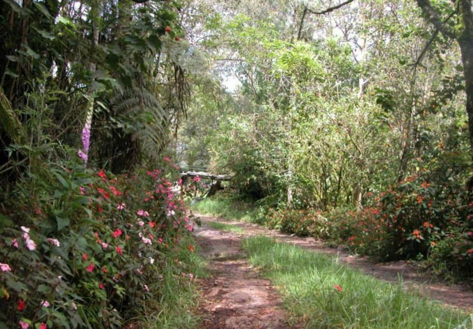 Rogitama Biodiversidad景点图片