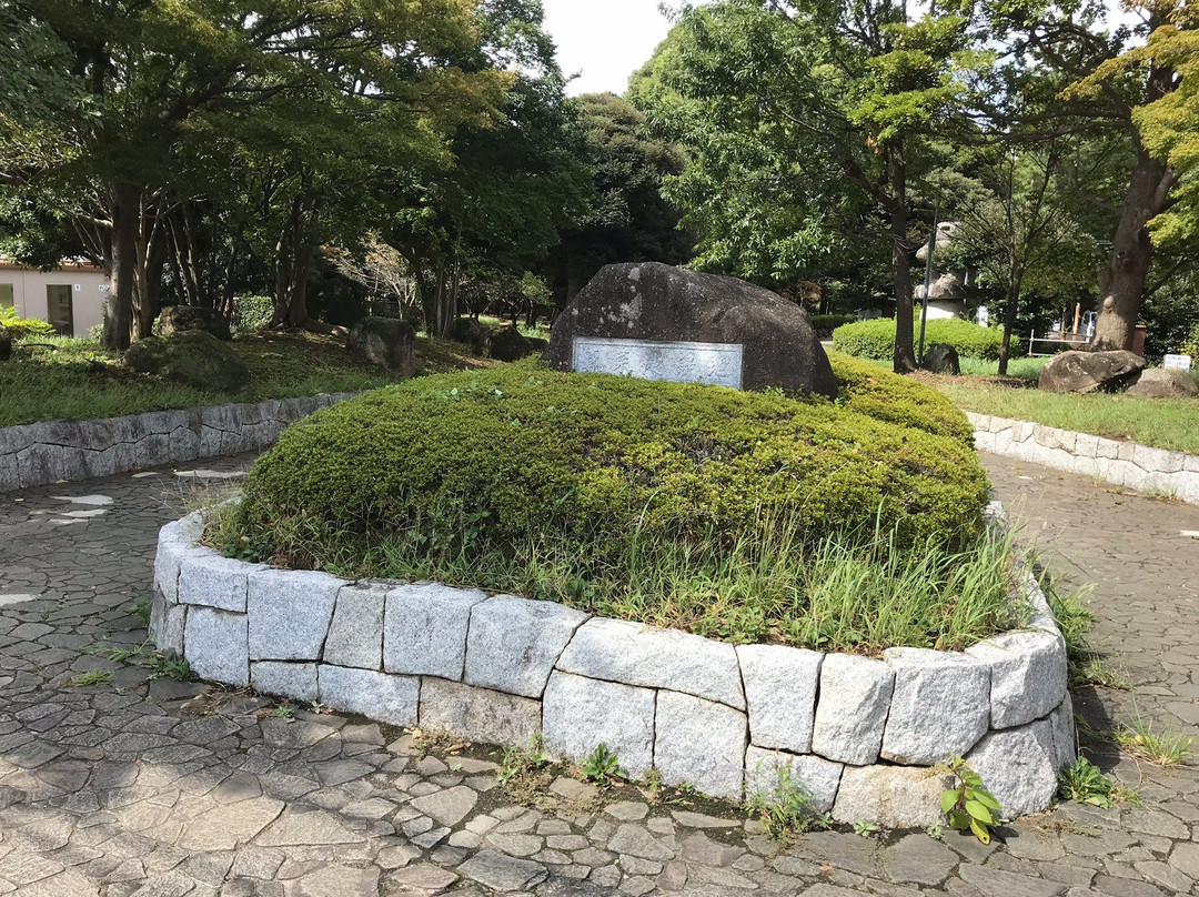 Junsai Pond Area-市川市必去景点