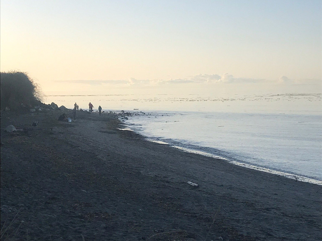 North Beach Park景点图片