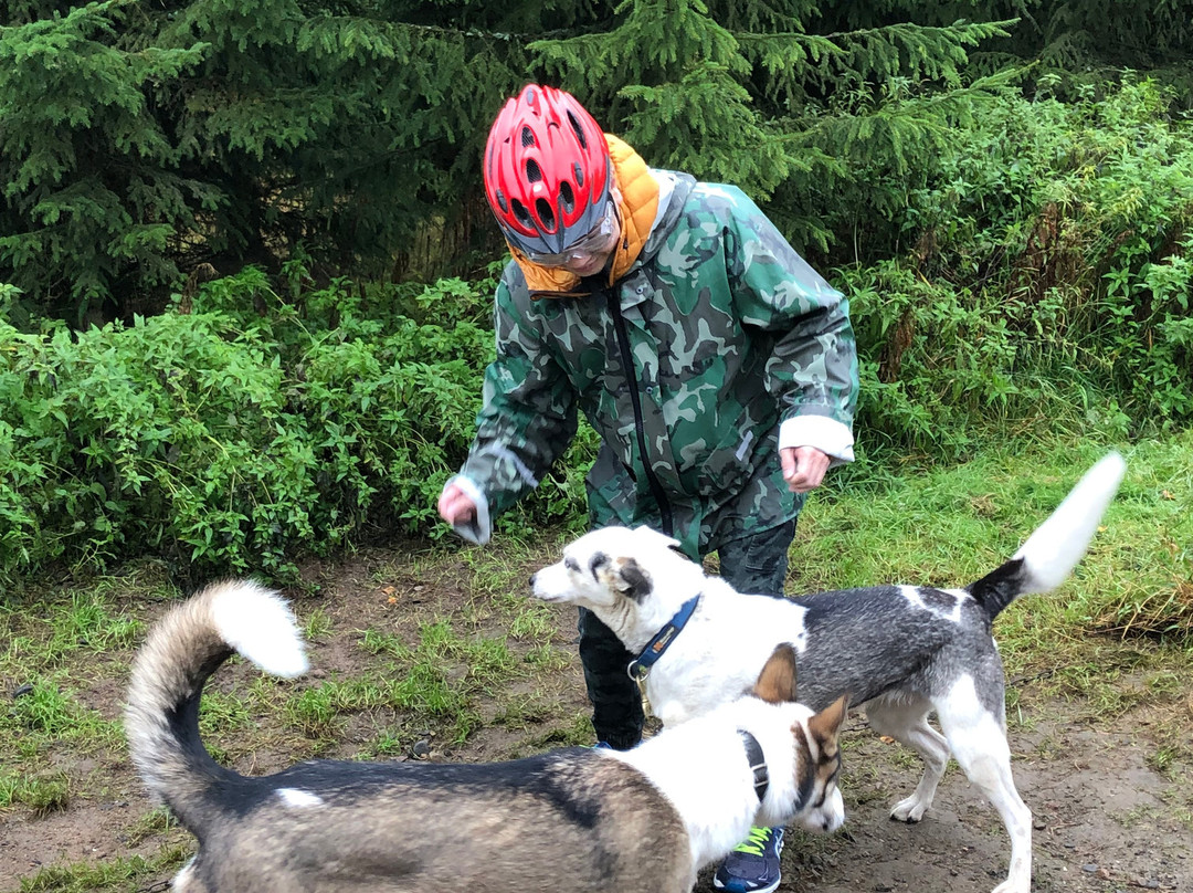 Vuokatti Safaris-Vuokatti必去景点