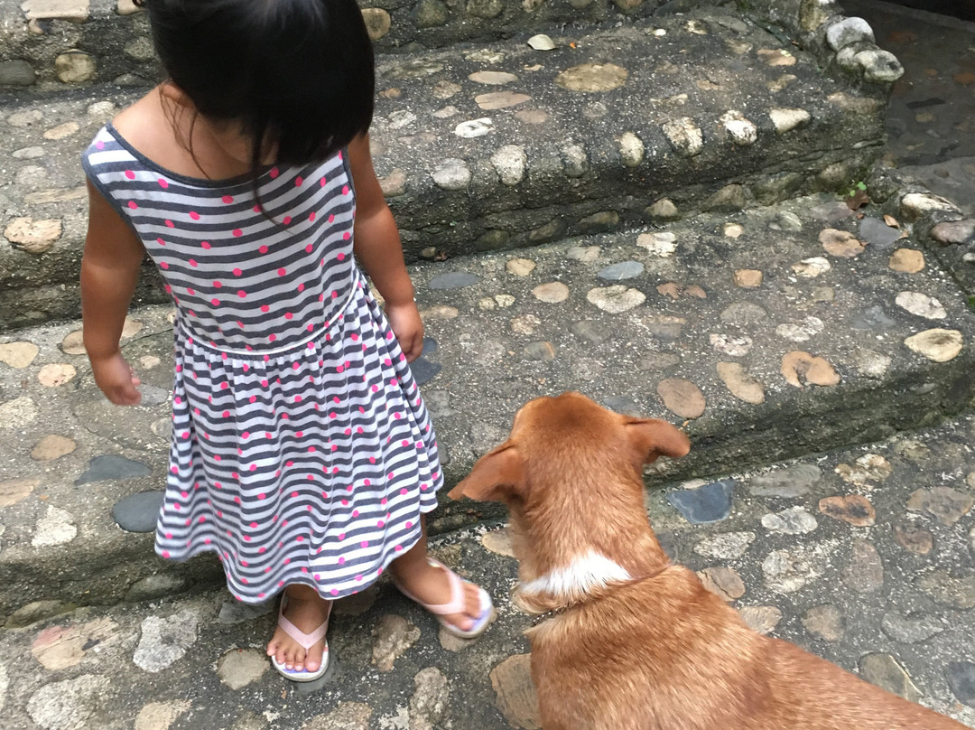 P. Guest House and Country Resort主图