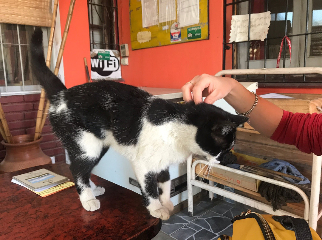 Mr. Hugo Bikes-Maipu必去景点