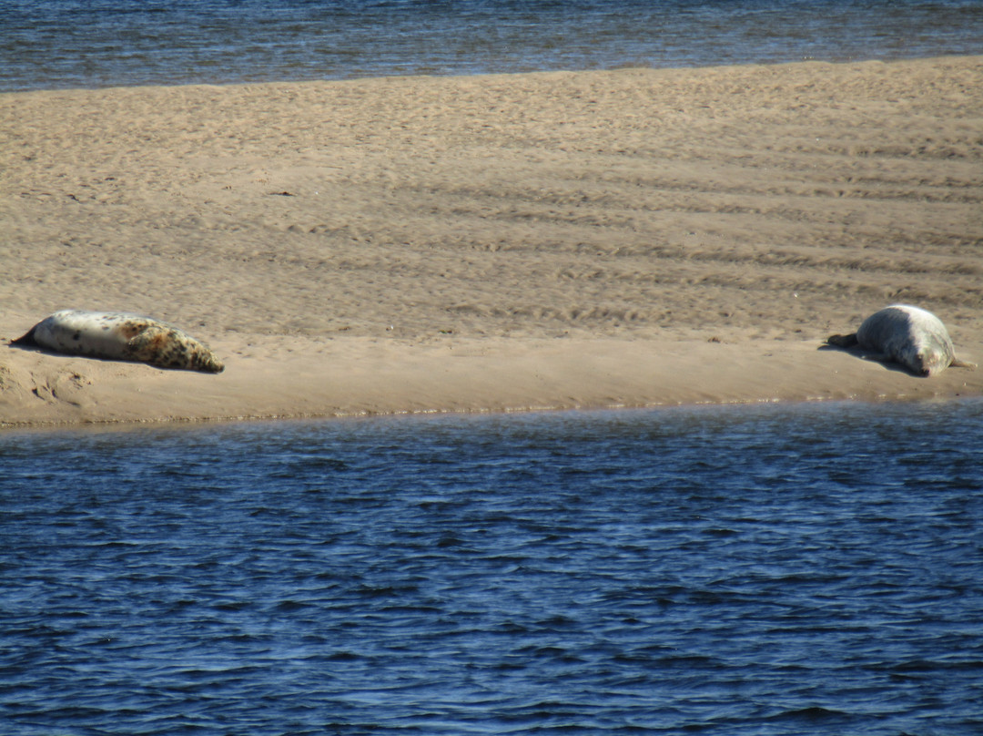 Loch Fleet National Nature Reserve景点图片