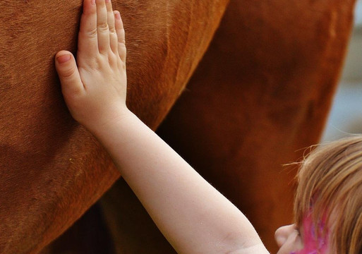 The Stables at Northeast Georgia-Carnesville必去景点