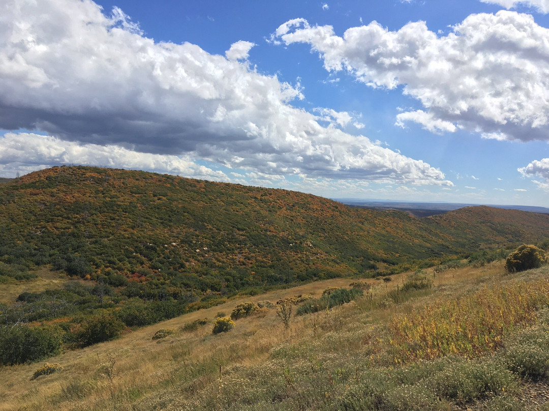 Ruins Road-梅萨维德国家公园必去景点