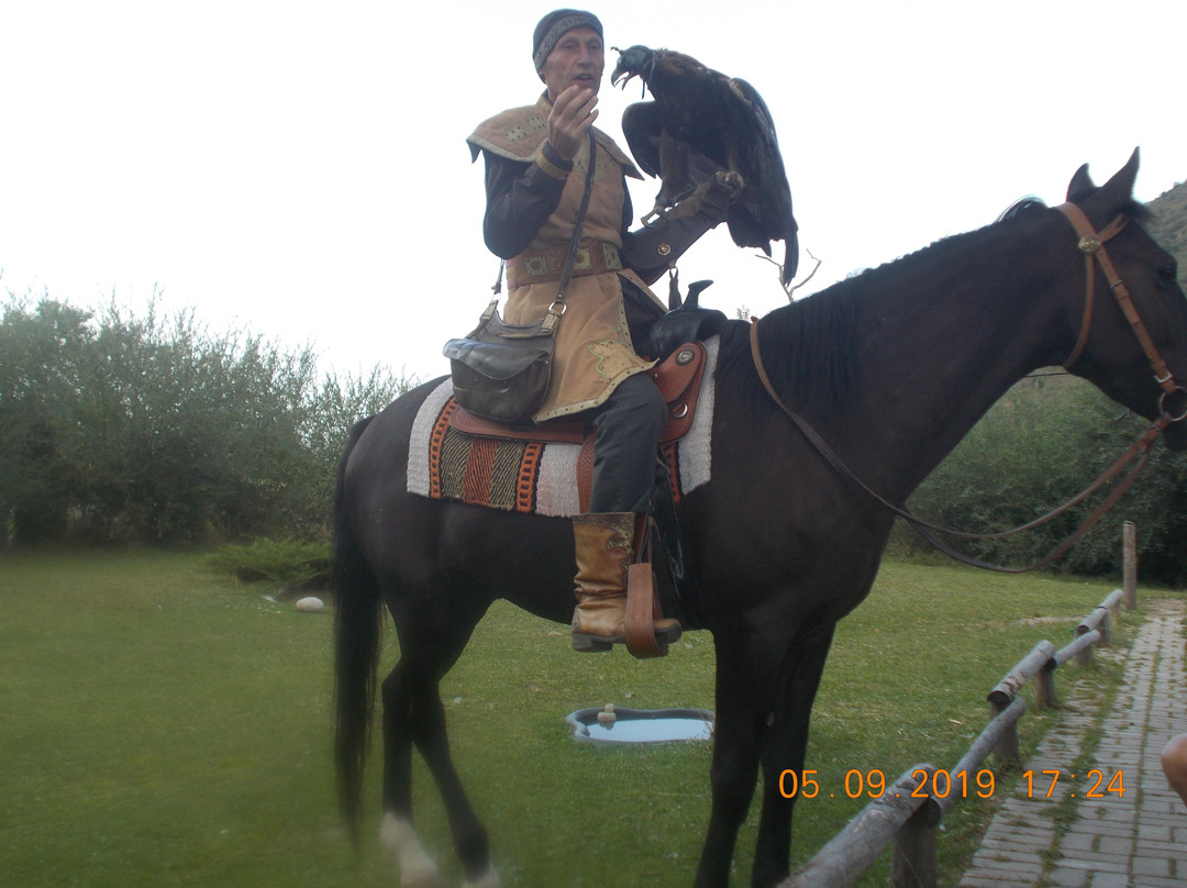 Falcon Farm Sunkar-阿拉木图必去景点