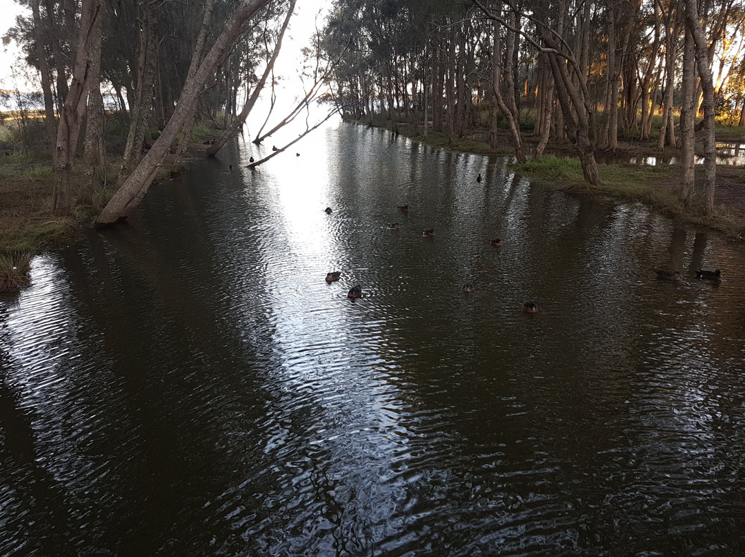 Long Jetty Foreshore Reserve-长码头必去景点