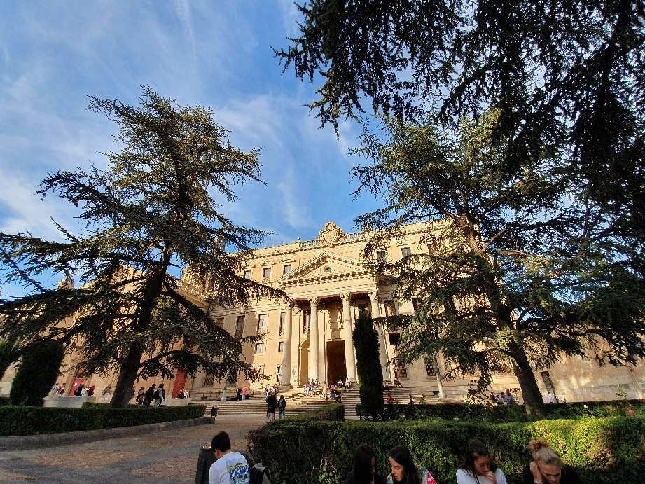 Palacio de Anaya景点图片