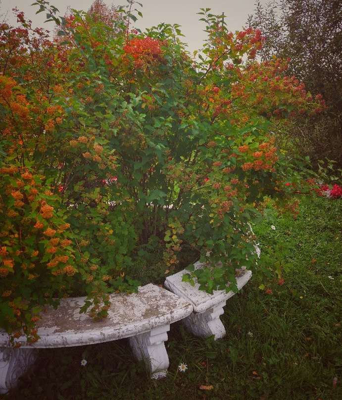 Solikamsk Memorial Botanical Garden景点图片