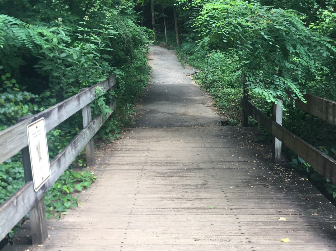 Base of the Falls Trail-道森维尔必去景点