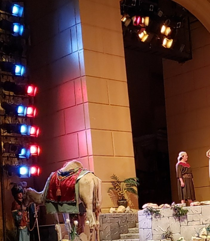 The Promise-Glen Rose必去景点