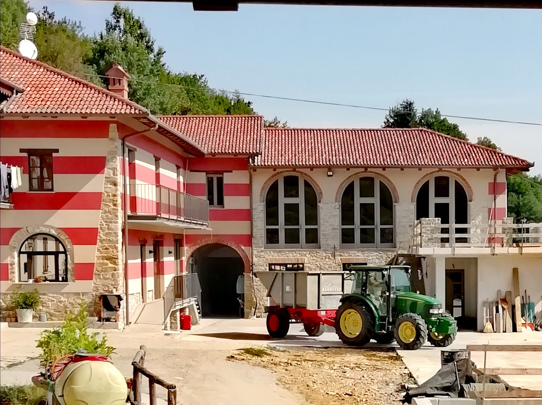 Azienda Agricola Barberis景点图片