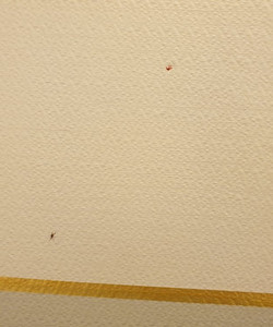 卡姆旅馆酒店酒店图片