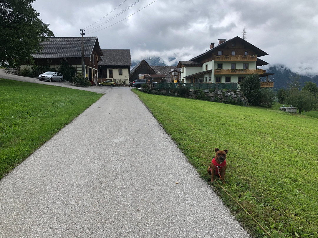 Familienbauernhof Christa主图