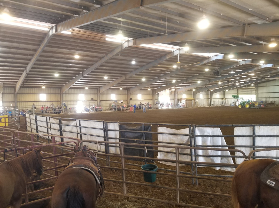 Clearview Horse Farm B&B主图