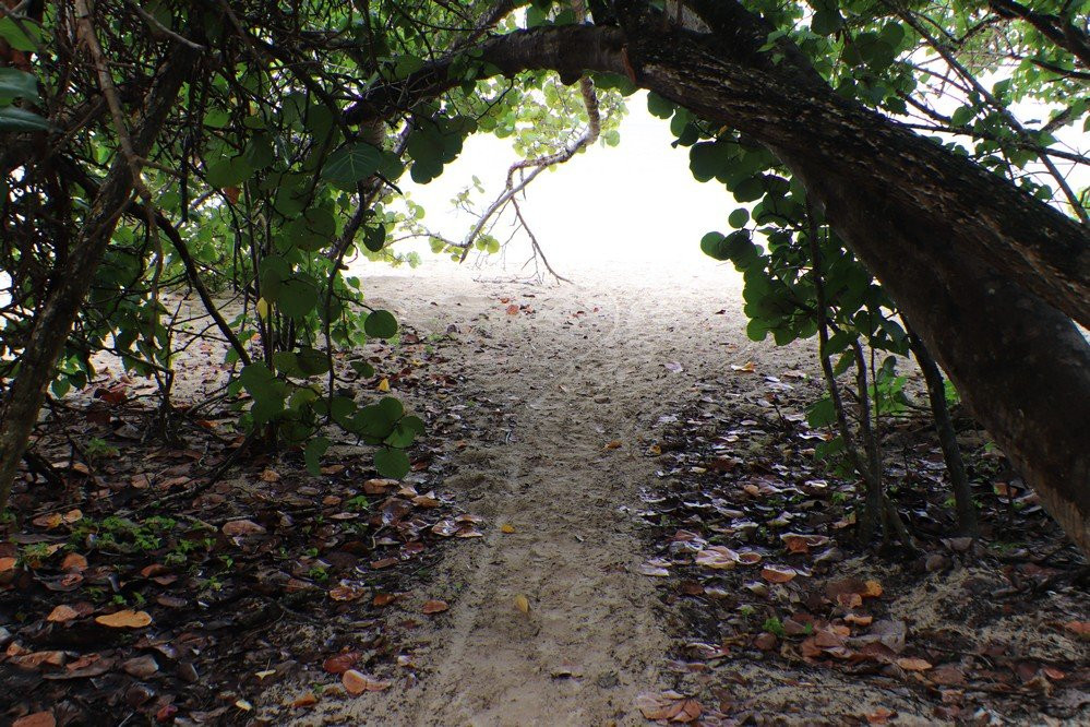 Folle Anse-Marie-Galante必去景点