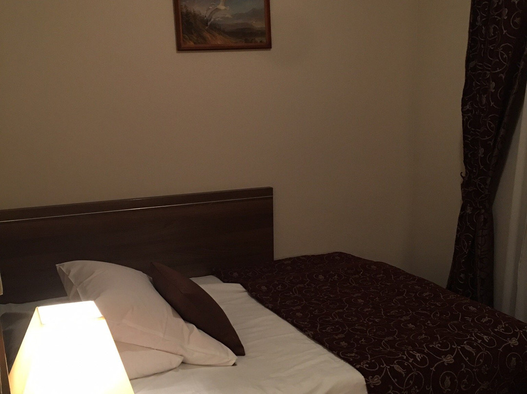 Jasek Premium Hotel主图