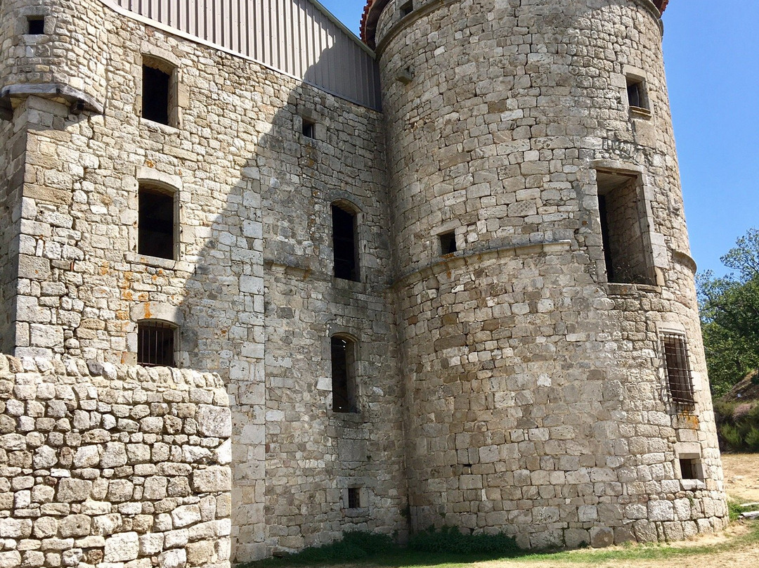 Château de Craux景点图片