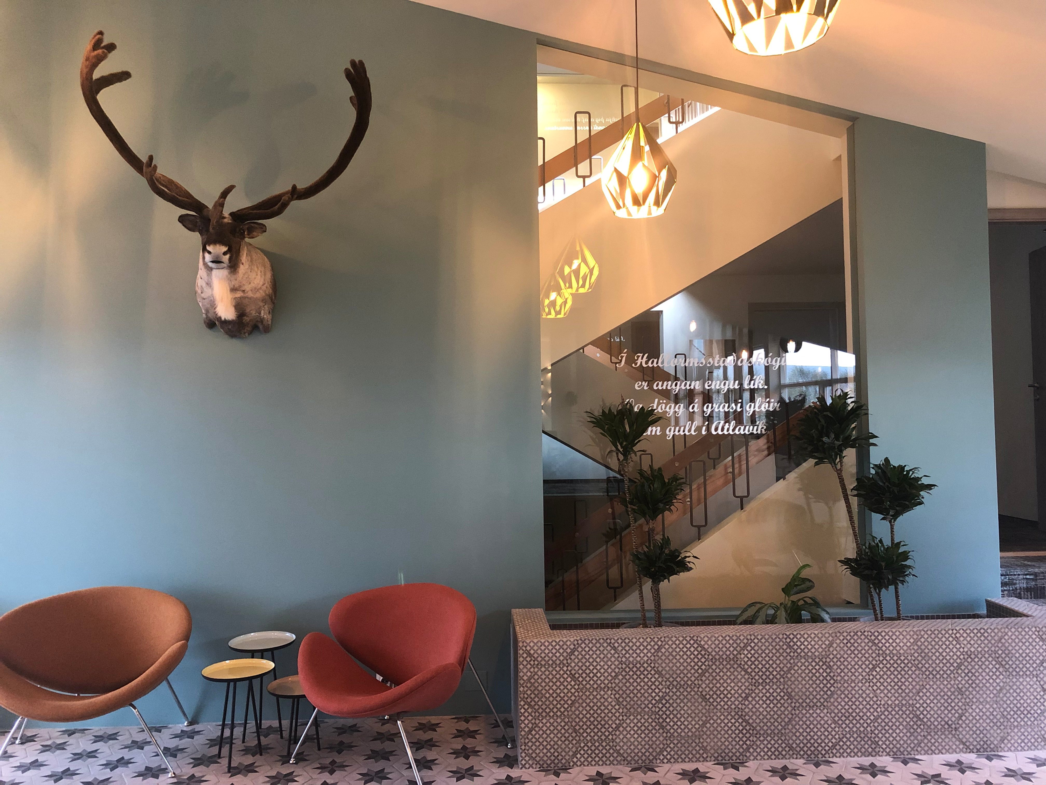 Guesthouse Grai Hundurinn-浴室
