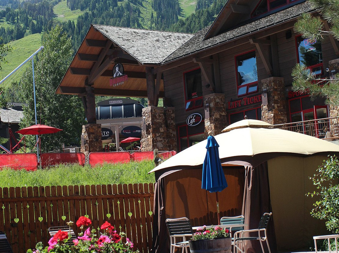 阿尔彭霍夫酒店主图