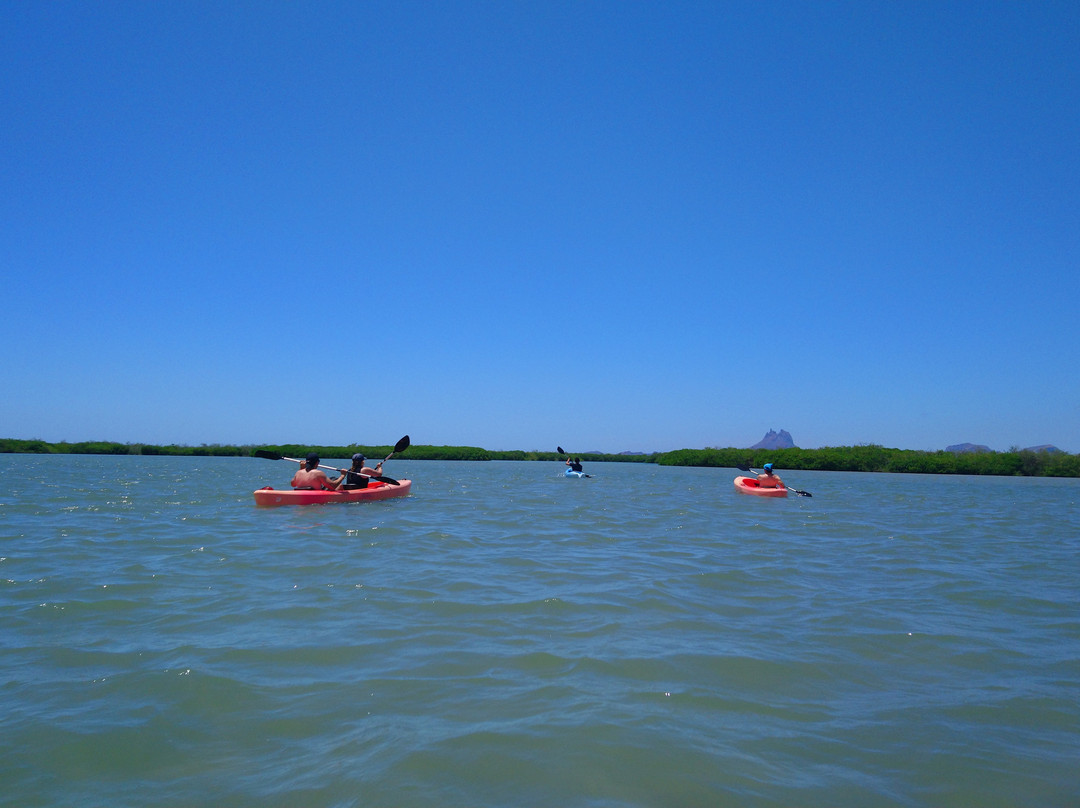 Estero el Soldado, Área Natural Protegida-圣卡洛斯必去景点