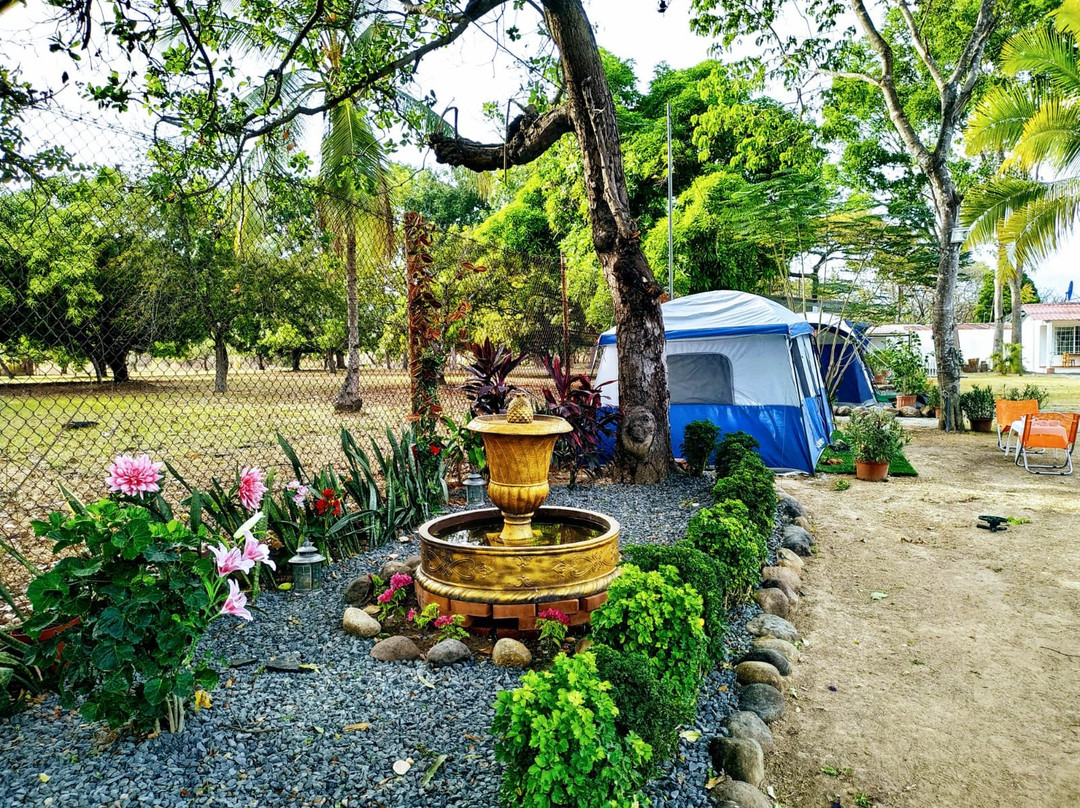 Dharma Casa Holistica主图