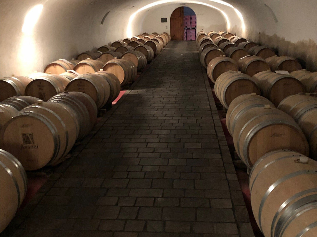 Cantina Avanzi景点图片