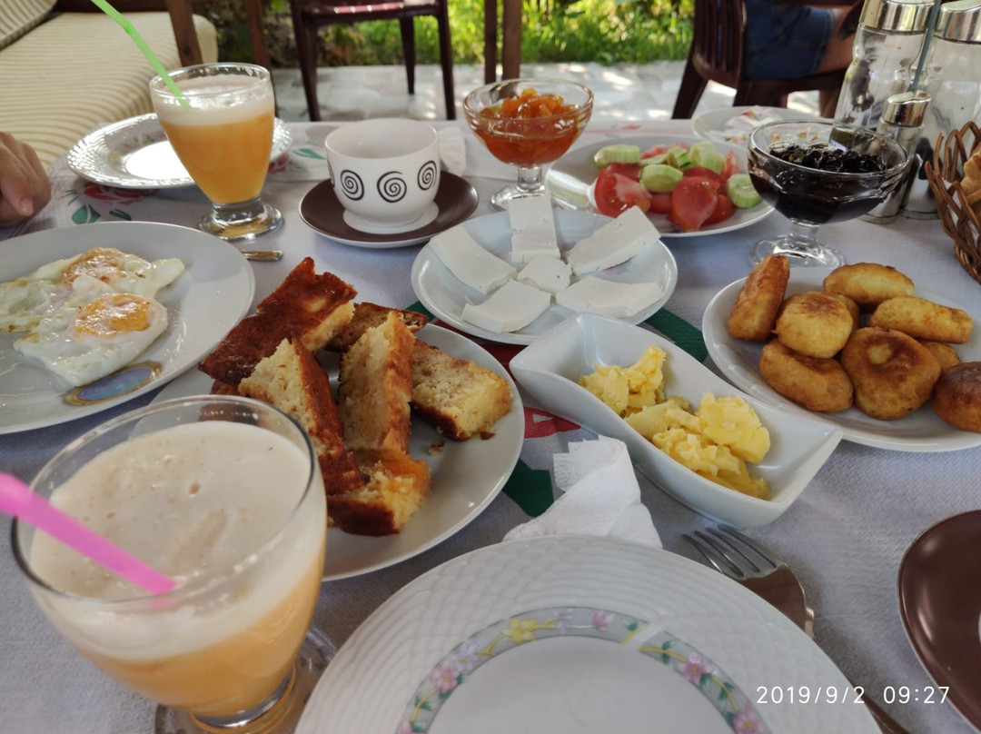 Vila Lili Guest House主图