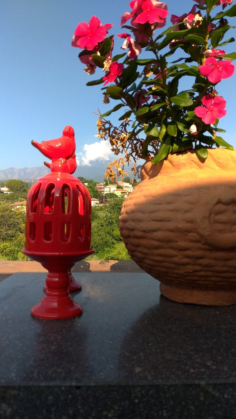 Petralava Etna B&B-官方