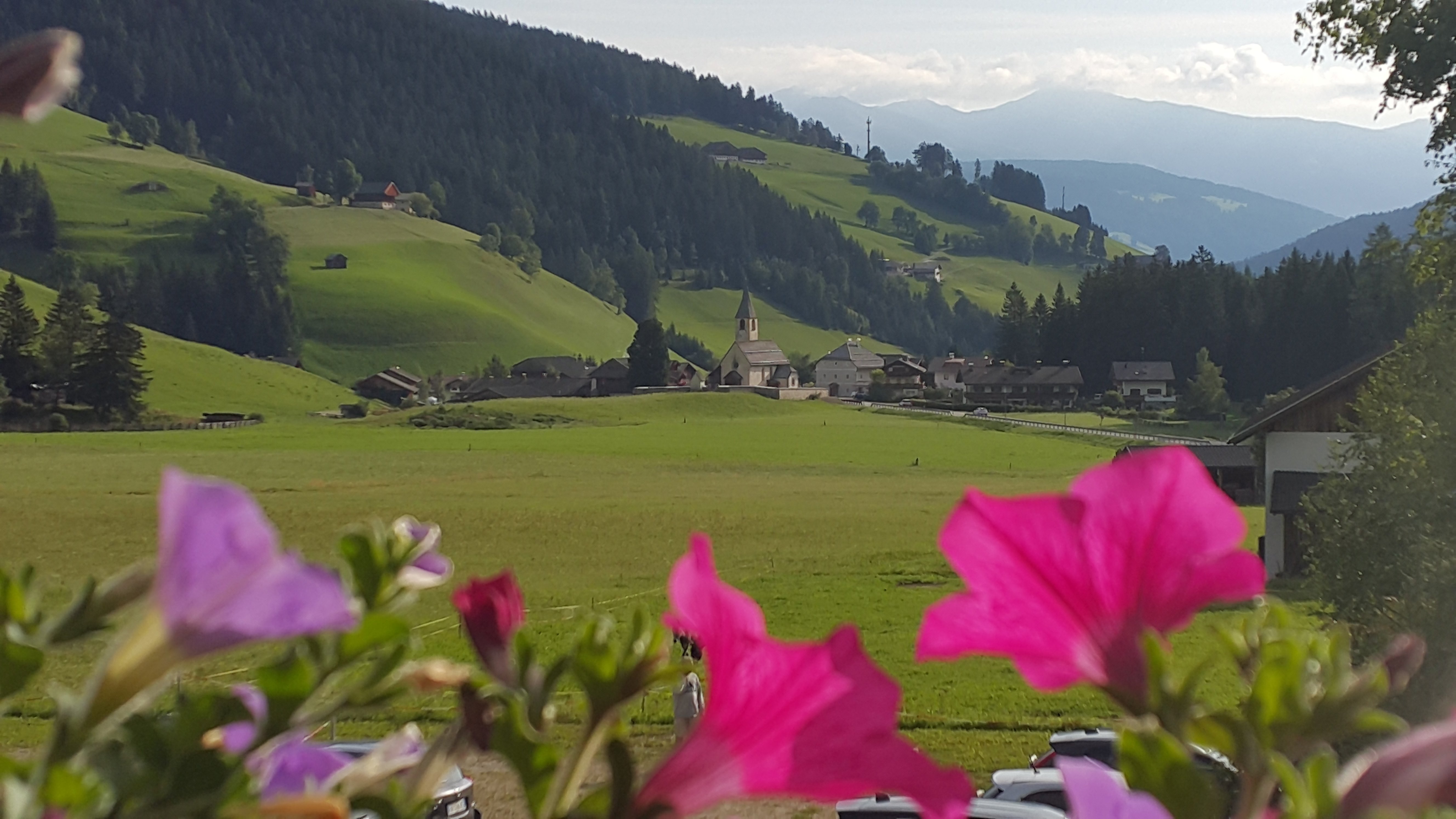 Hotel Trenker-酒店景观