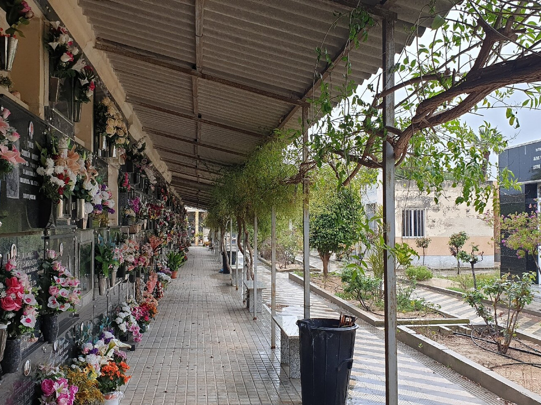 Cementerio Parroquial de la Inmaculada Concepción景点图片