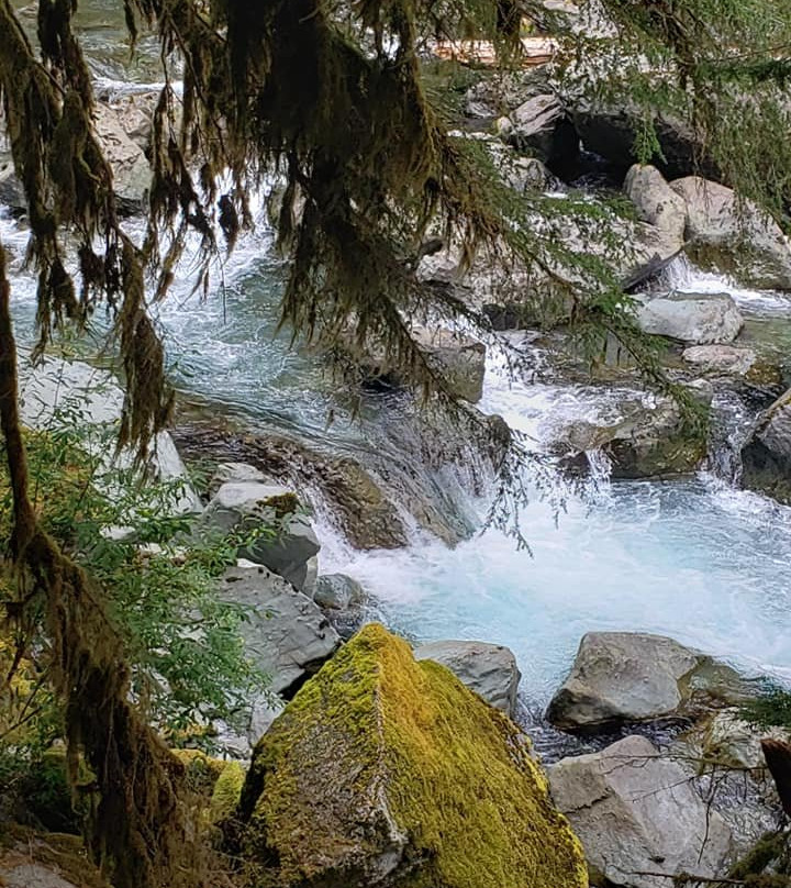Staircase Rapids Nature Trail景点图片