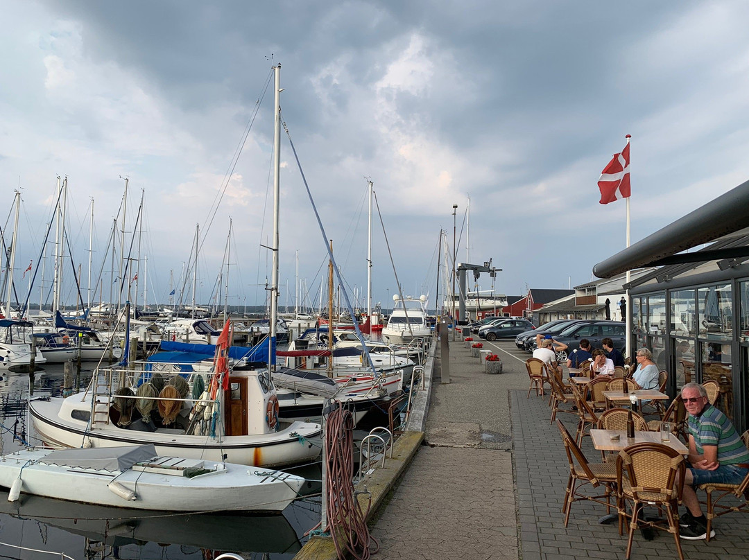 Juelsminde Havn og Marina景点图片