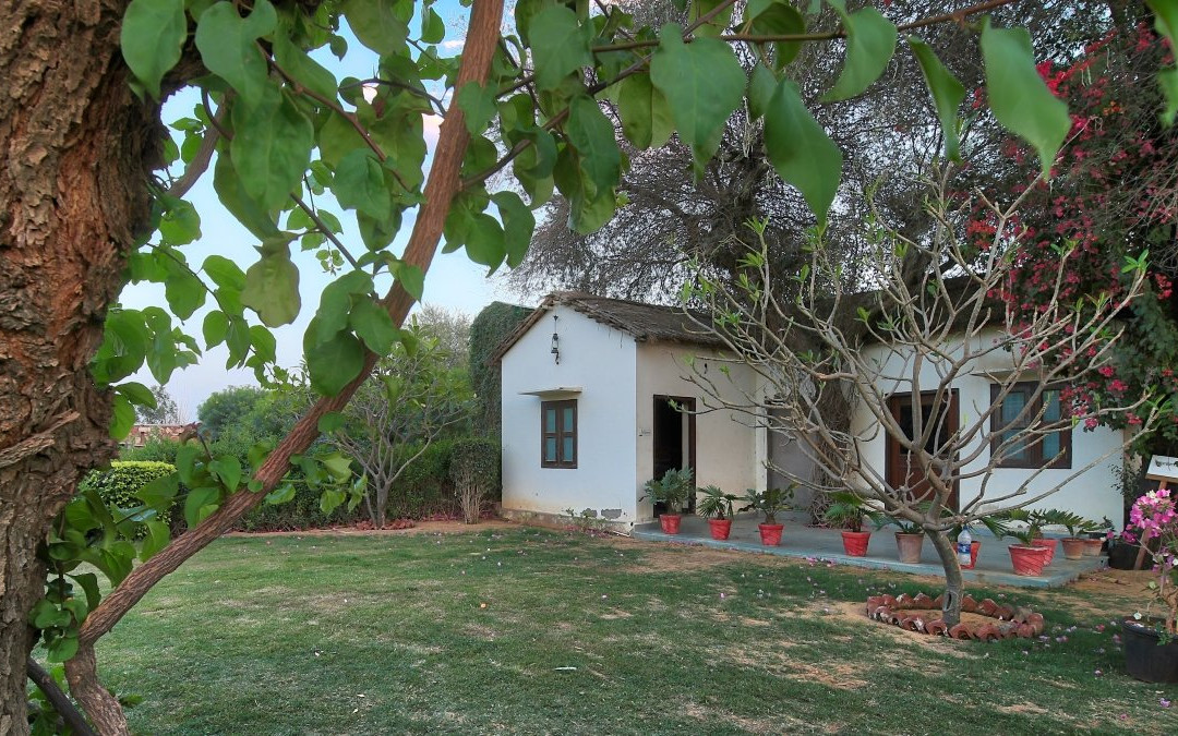 The Imperial Farm主图