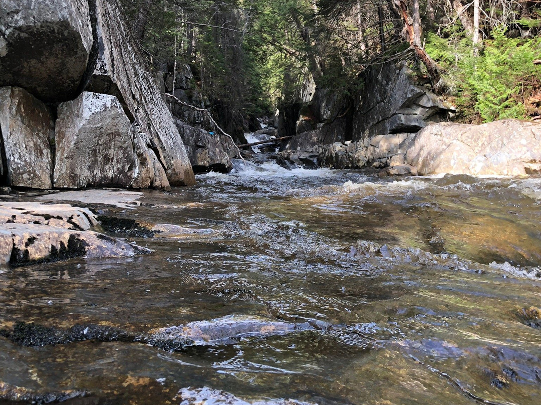 Cascade Stream Gorge Trail景点图片