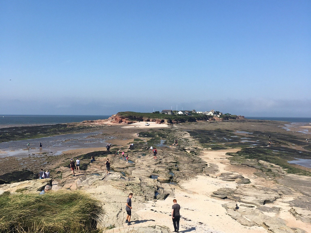 Hilbre Island Nature Reserve景点图片
