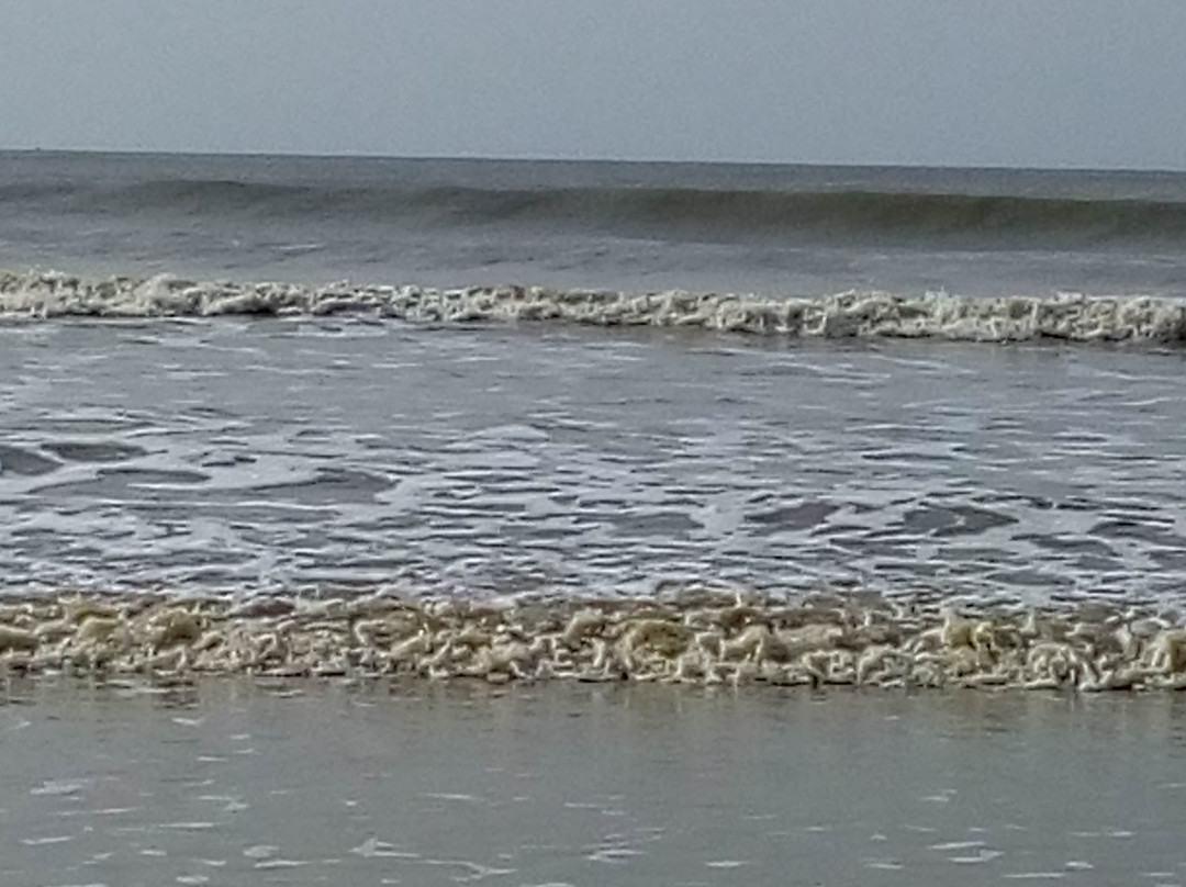 Tajpur Beach景点图片