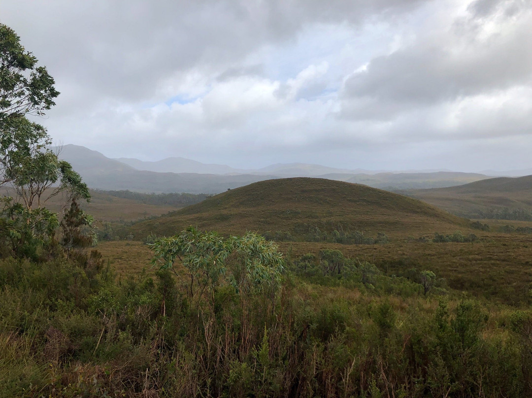 Mt Donaldson-Corinna必去景点