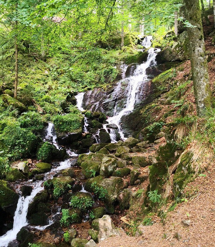 Cascade de la Serva景点图片