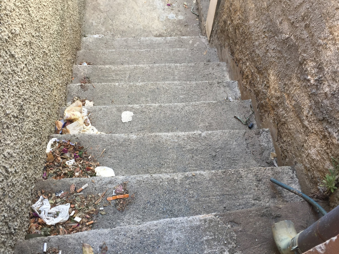 Bahiaincantata主图