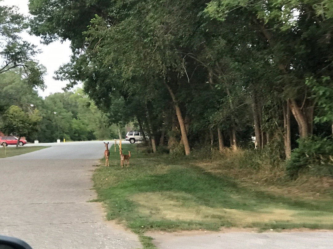 Lake Manawa State Park-康瑟尔布拉夫斯必去景点
